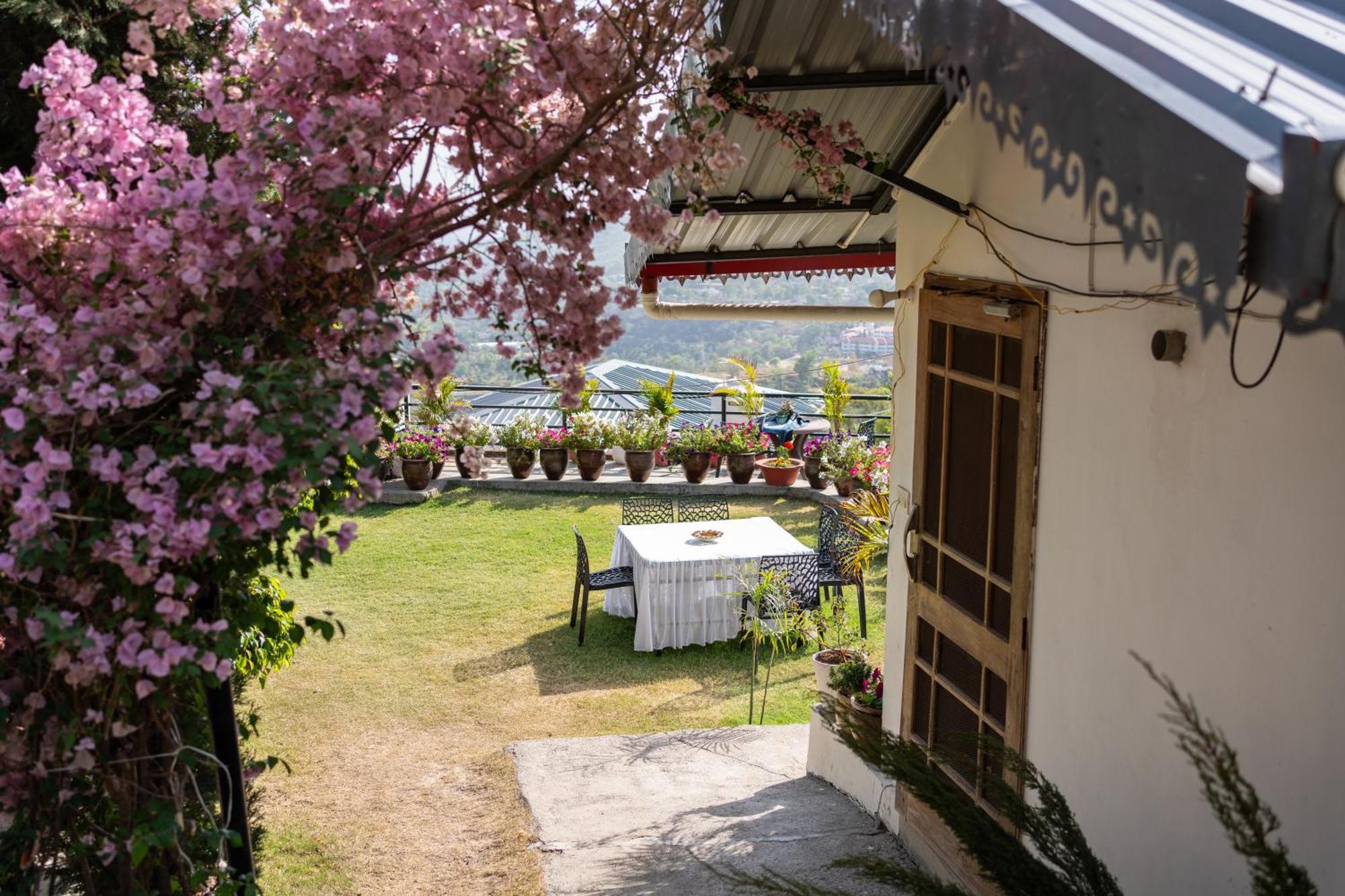 The Bougainvillea Retreat - A Luxury Private Pool Villa In Dehradun Exterior photo